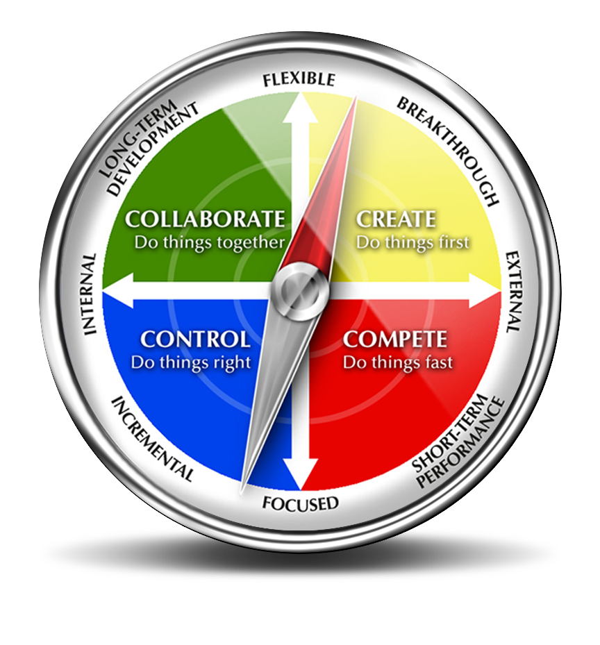Systemic culture compass