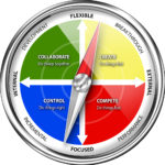 Systemic Culture Compass